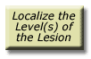 Localize the Levels of the Lesion