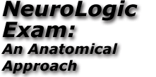 The Neurologic Exam for Adults: An Anatomical Approach